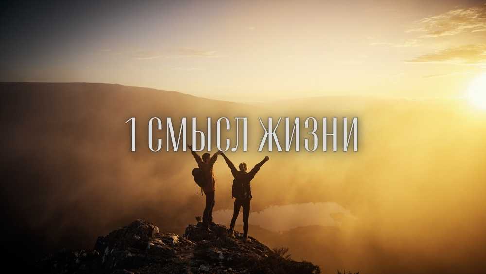 Смысл жизни