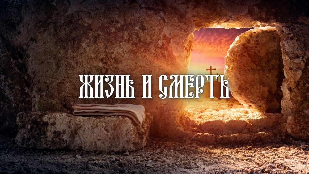 Жизнь и смерть